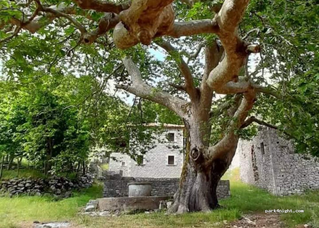 (245 00) MALI - Unnamed Road — foto 2