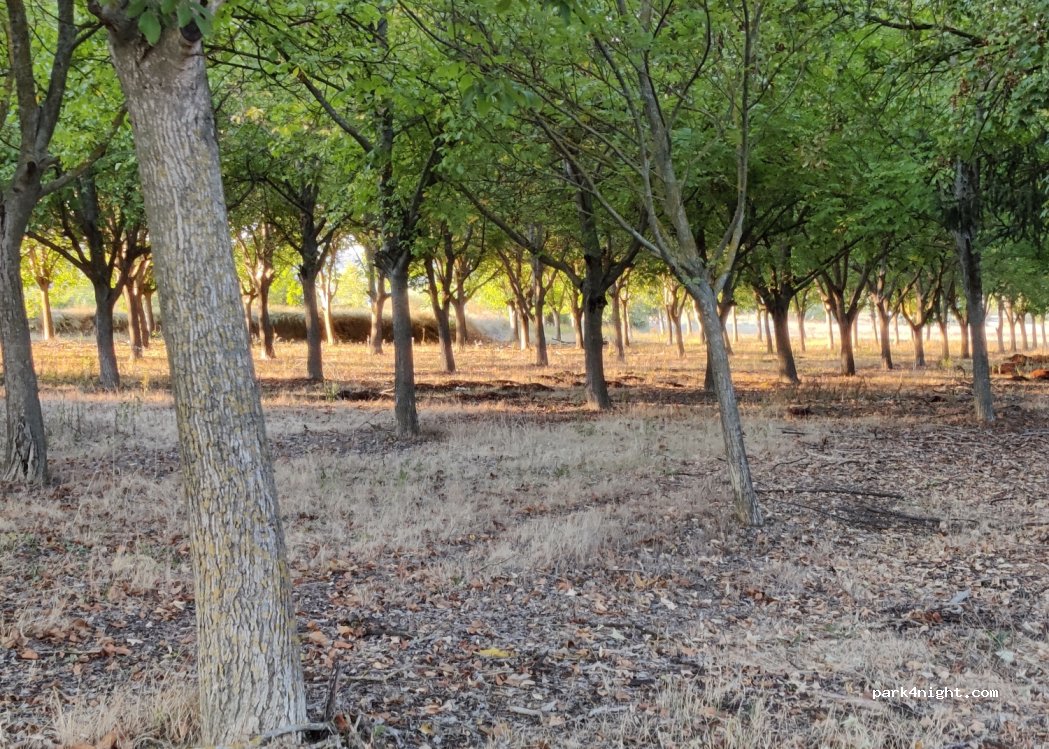 Azienda Agricola Giulio Arnera — foto 3