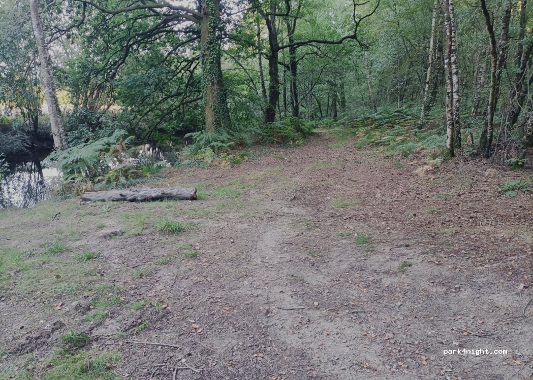 (56220) Malansac - Unnamed Road — foto
