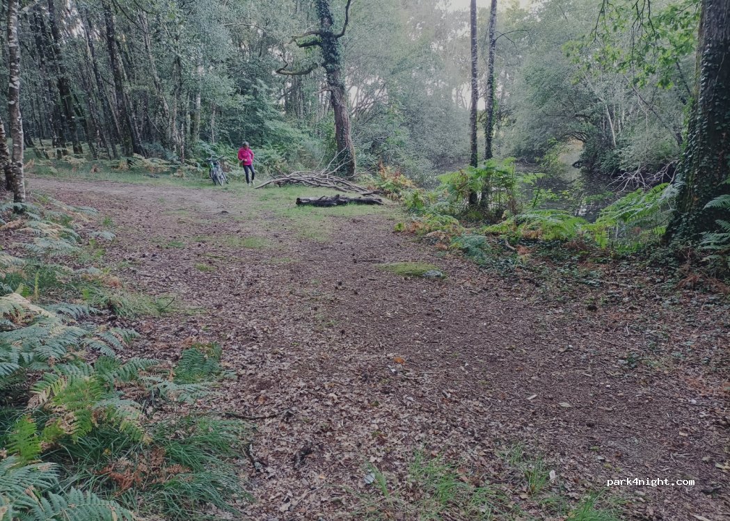 (56220) Malansac - Unnamed Road — foto 3
