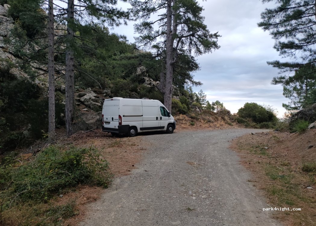 (20219) Rospigliani - D343 — foto