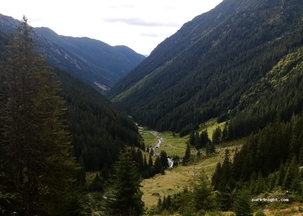 () Stana lui Burnei - Unnamed Road — foto 2