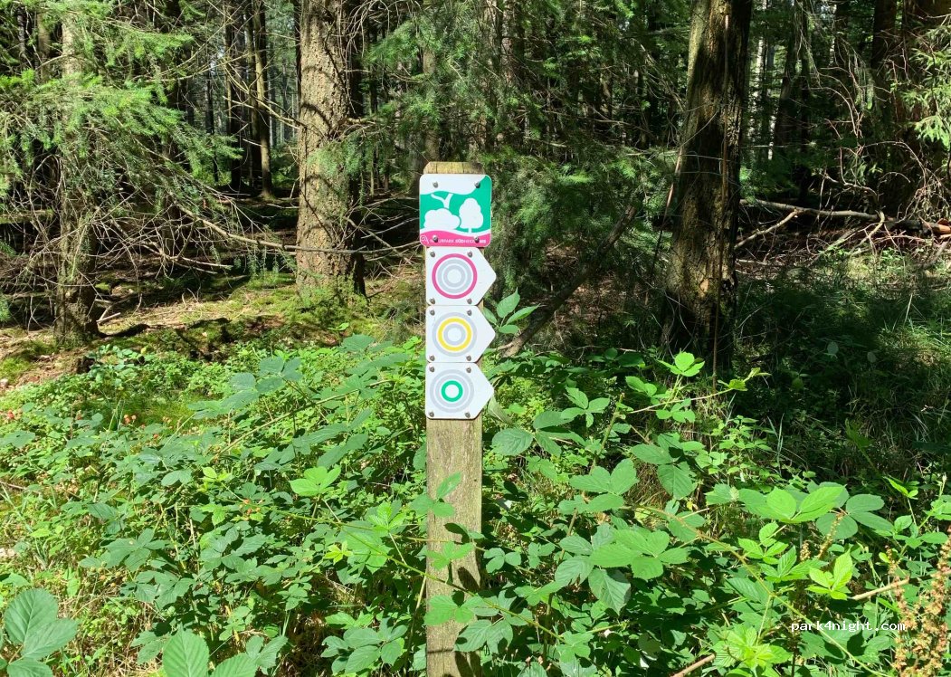 (29345) Südheide - Müdener Strasse — foto 2