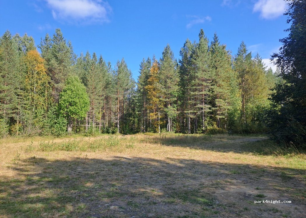 (919 91) Åsele - 90 — foto 4