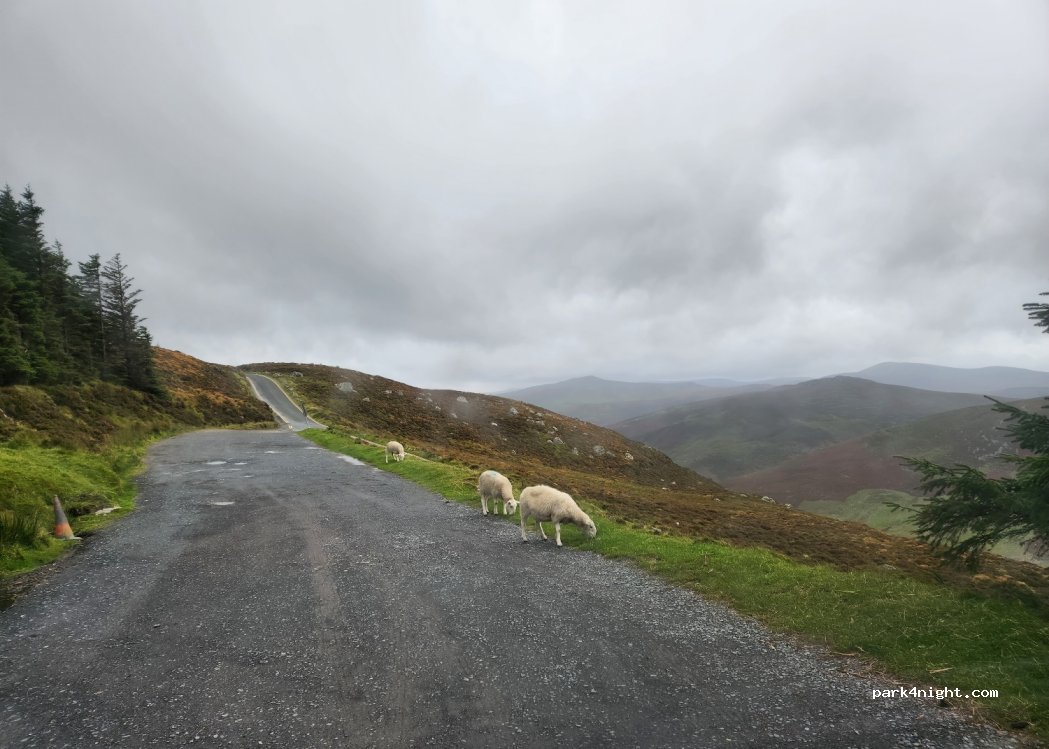 (A98 F640) Luggala - Wicklow Way — foto 3