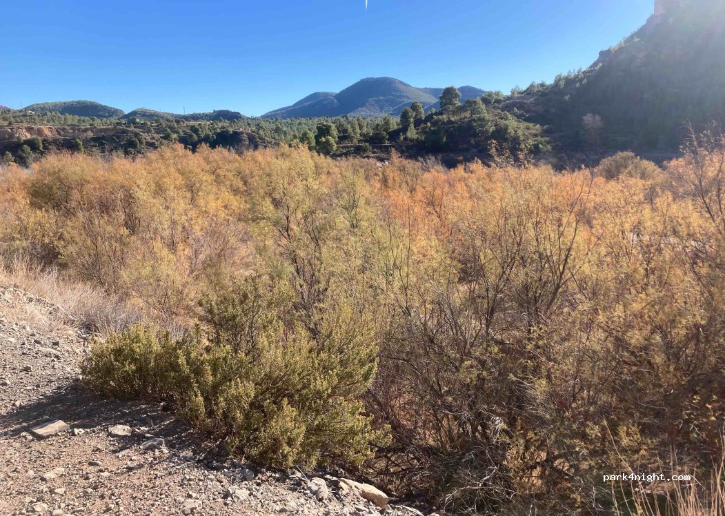(46175) Loriguilla - Unnamed Road — foto 3