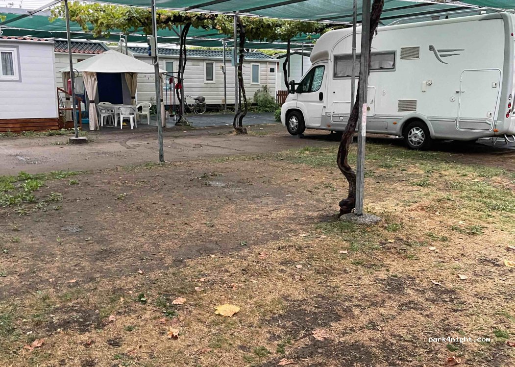 Camping Delfino — foto