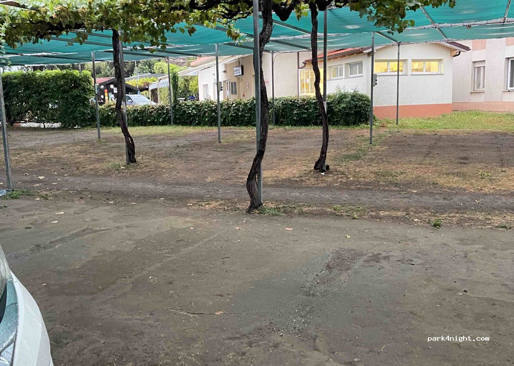 Camping Delfino — foto 4