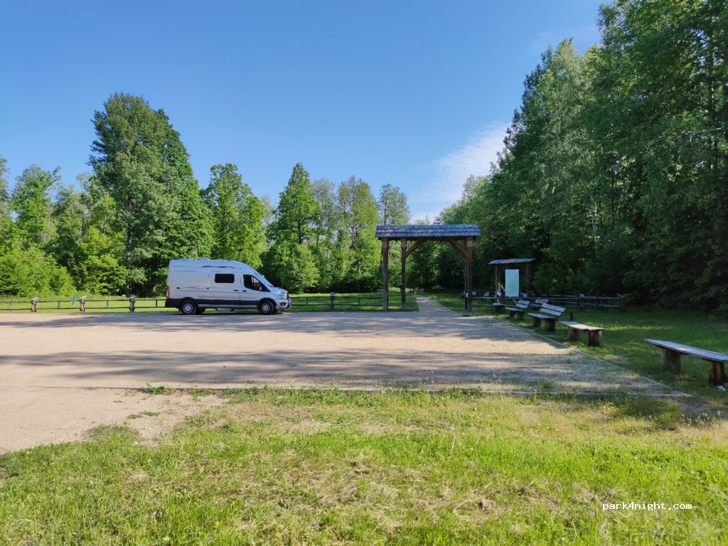 (17-230) Bialowieza - Unnamed Road — foto