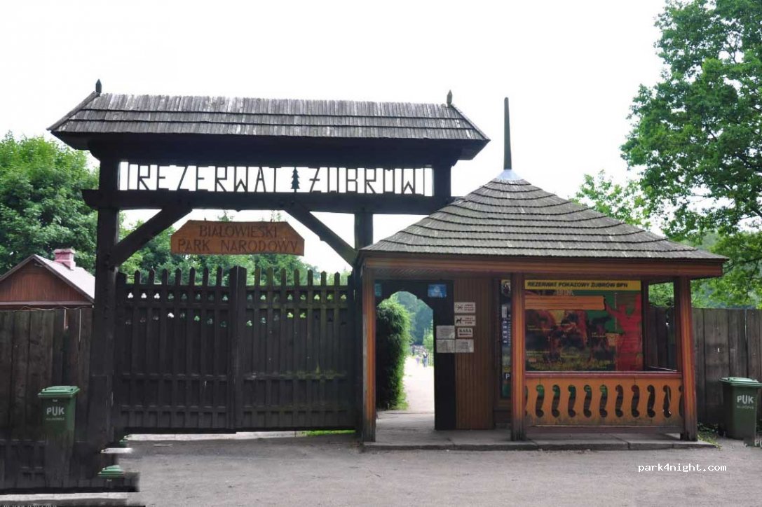 (17-230) Bialowieza - Unnamed Road — foto 2