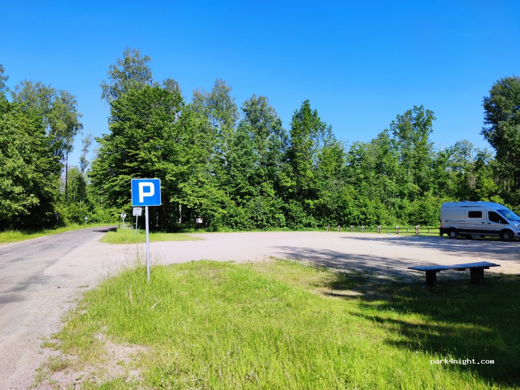(17-230) Bialowieza - Unnamed Road — foto 3