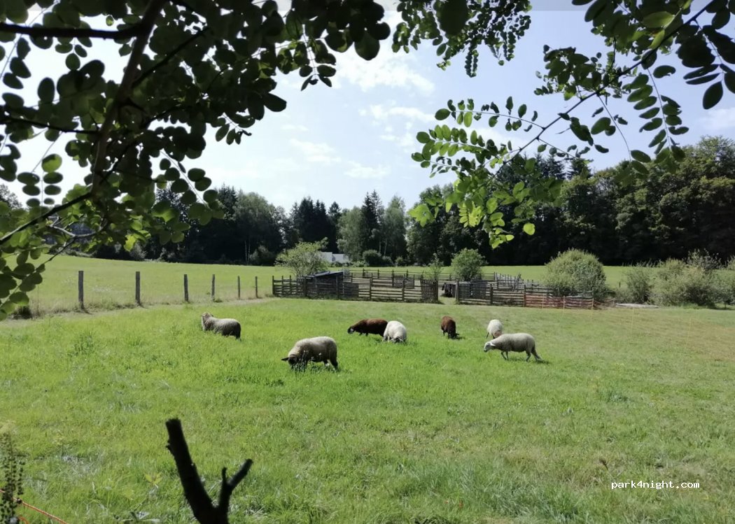 Domaine du Bois Kako - Camping — foto 2