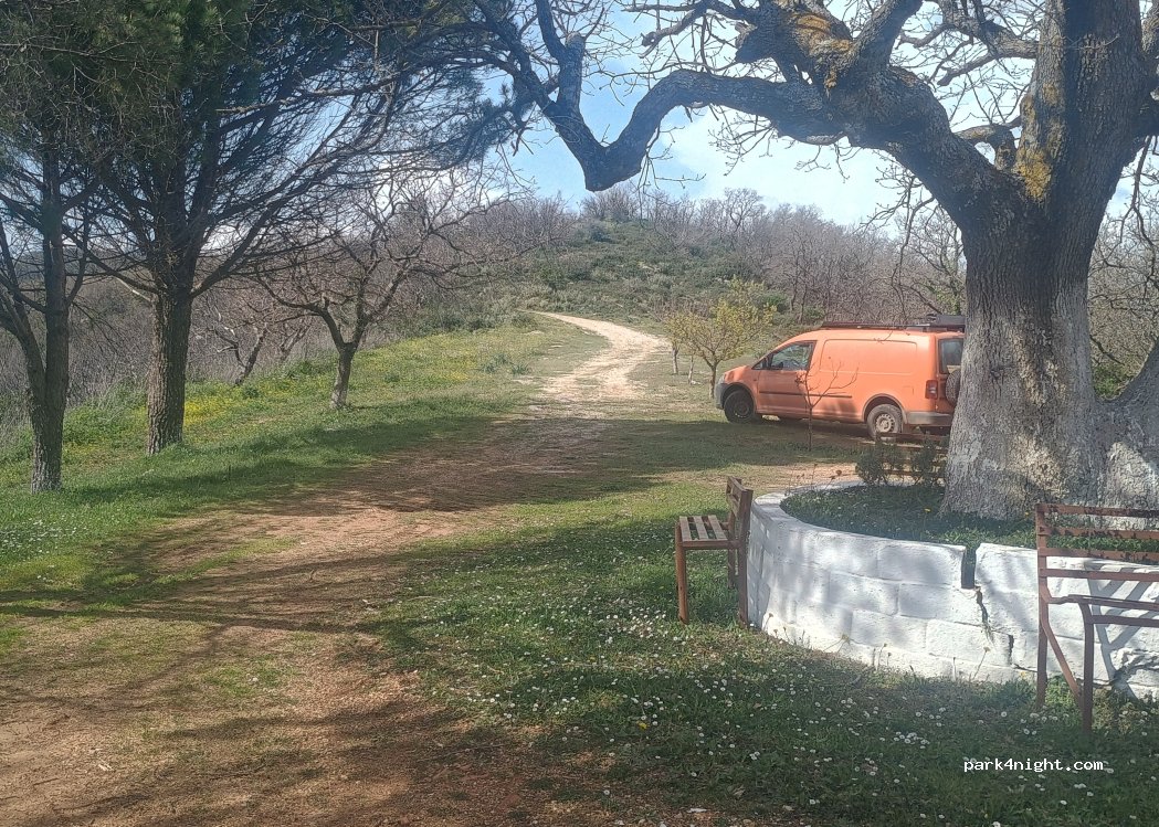 (240 14) MAGLAVAS - — foto 4