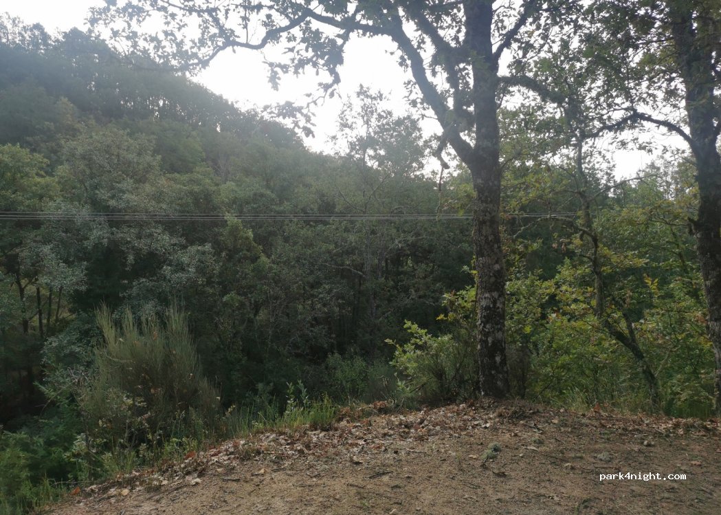 (37659) Las Casas del Conde - Unnamed road — foto