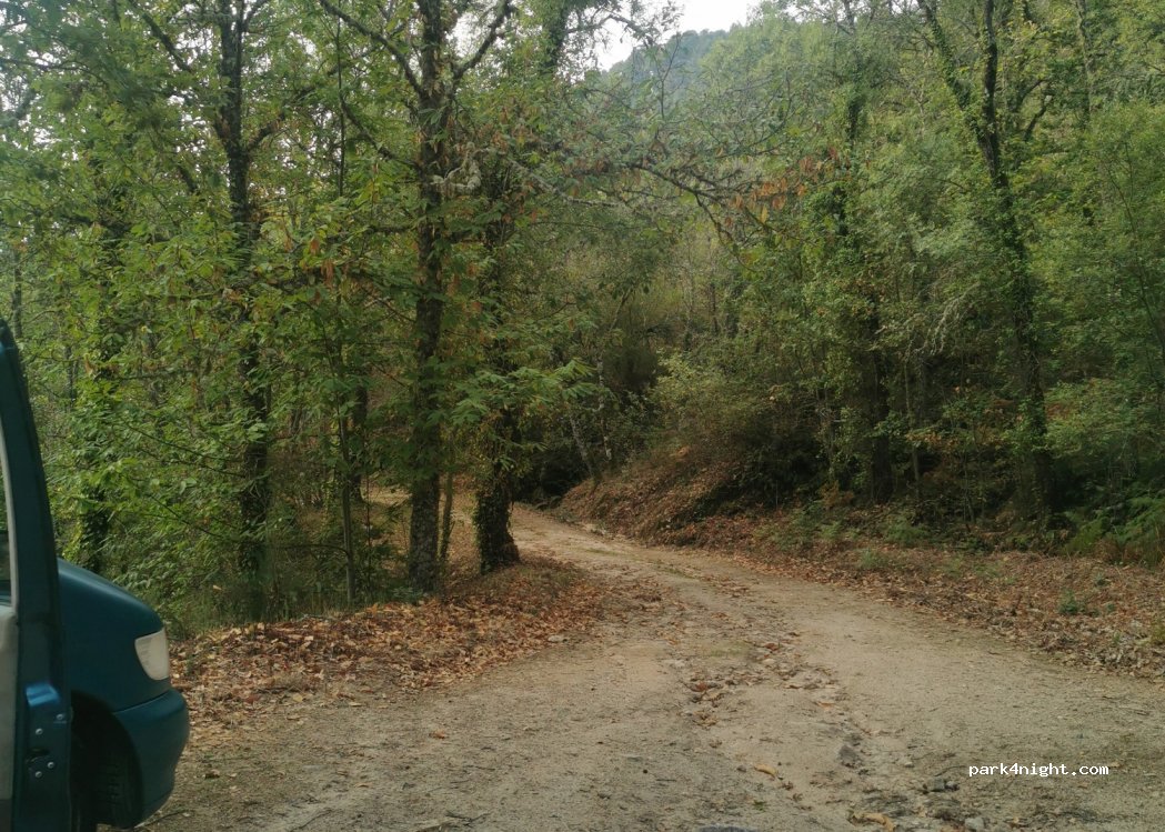 (37659) Las Casas del Conde - Unnamed road — foto 2
