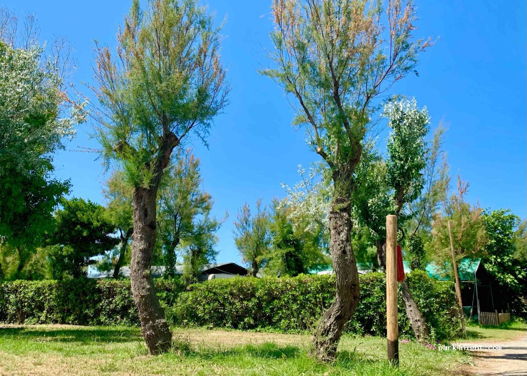Camping RADA ETRUSCA — foto 4