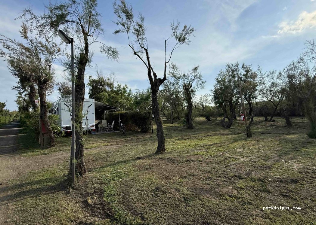 Camping RADA ETRUSCA — foto 5