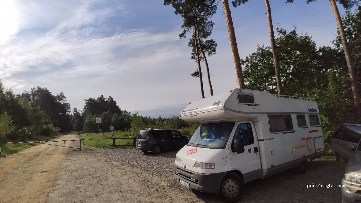 (99-417) Joachimów-Mogiły - 40 Polna — foto
