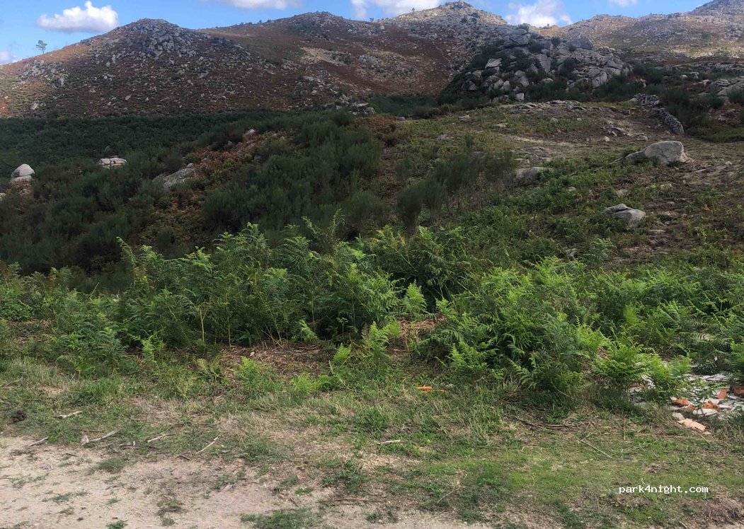 (4540) Albergaria da Serra - — foto 2