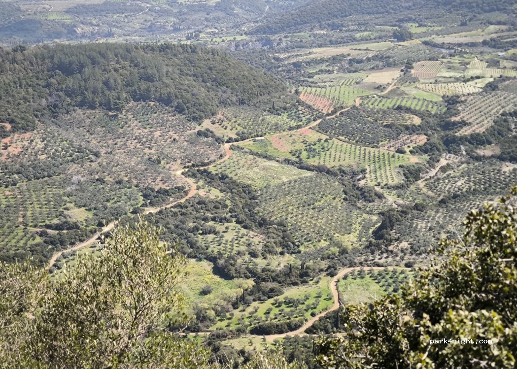 (240 01) PROFITIS ILIAS CHANDRINOS - — foto 4