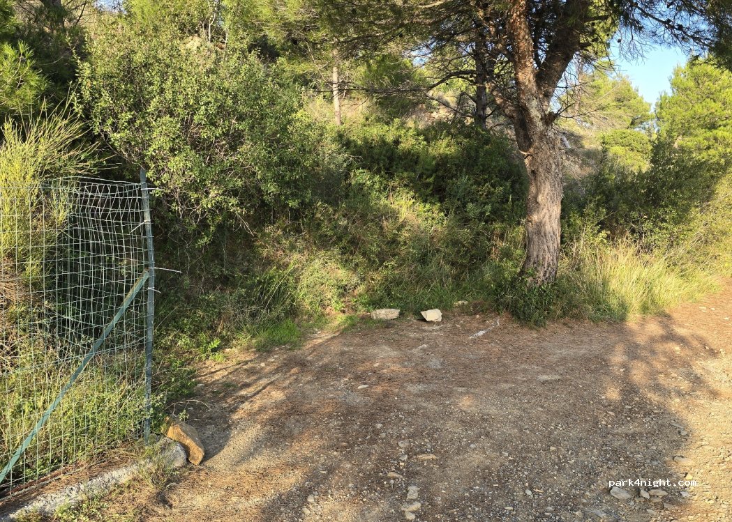 (18010) Cervo - Unnamed road — foto 4