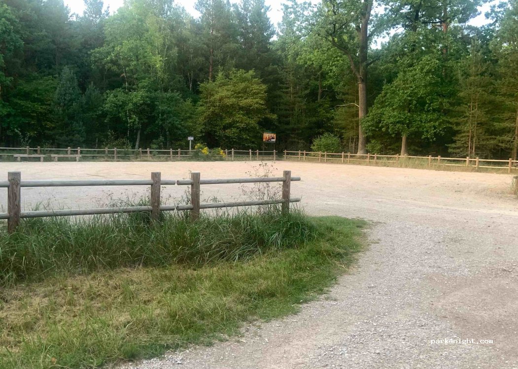 (99) Bolimów - Trakt Budnicki — foto 2