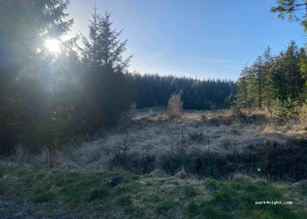 (NE48) Kielder - — foto 2