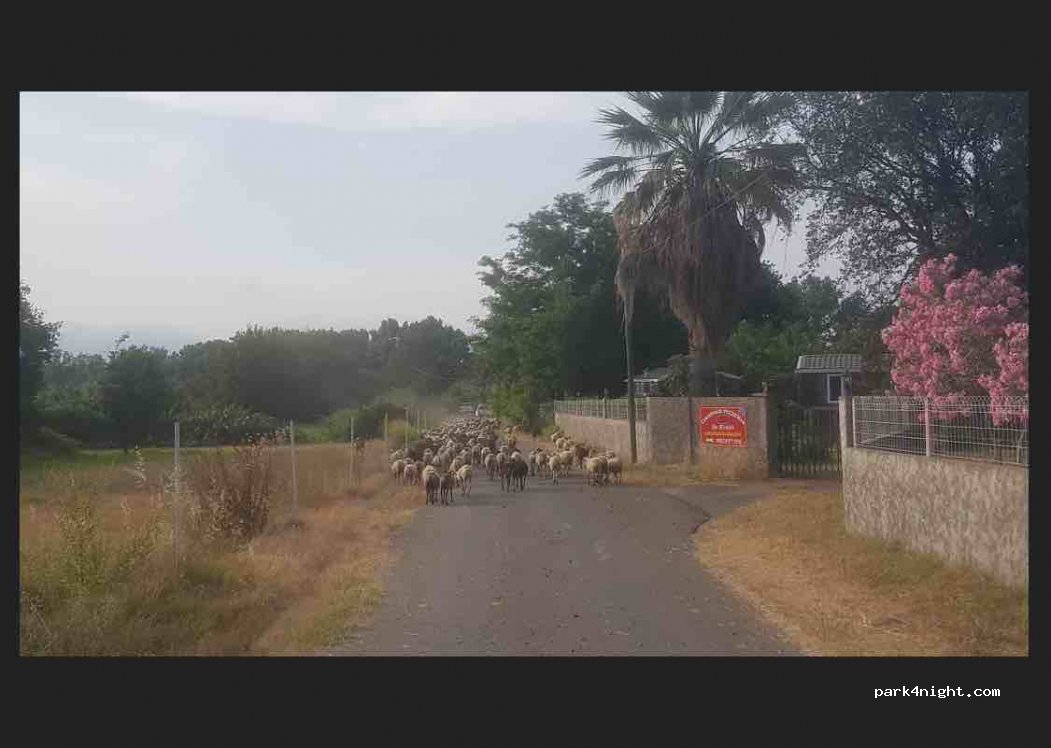 Camping de Ficajole — foto