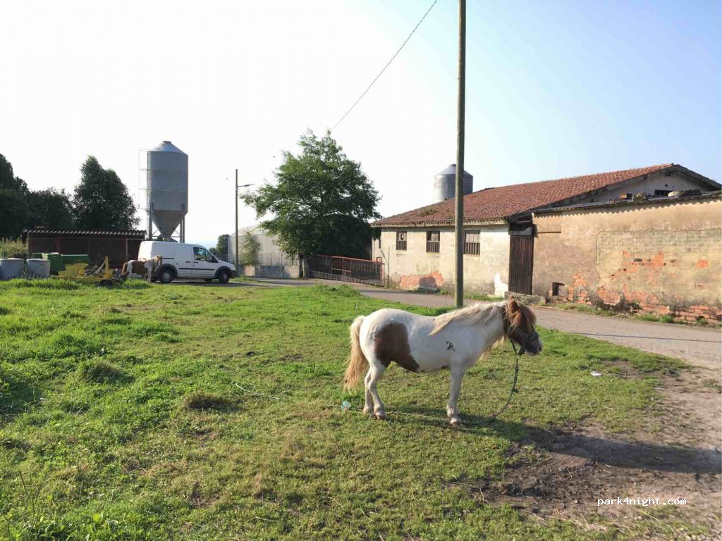 Granja La Cuesta de Amalio — foto 3