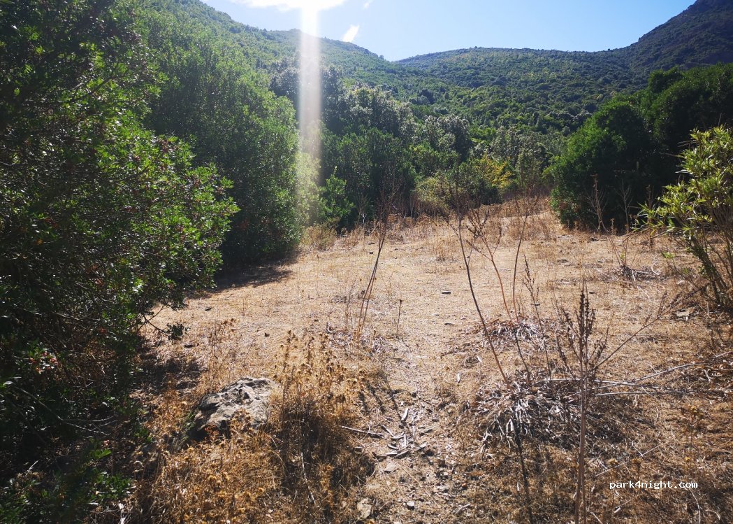 (08047) Tertenia - Unnamed Road — foto