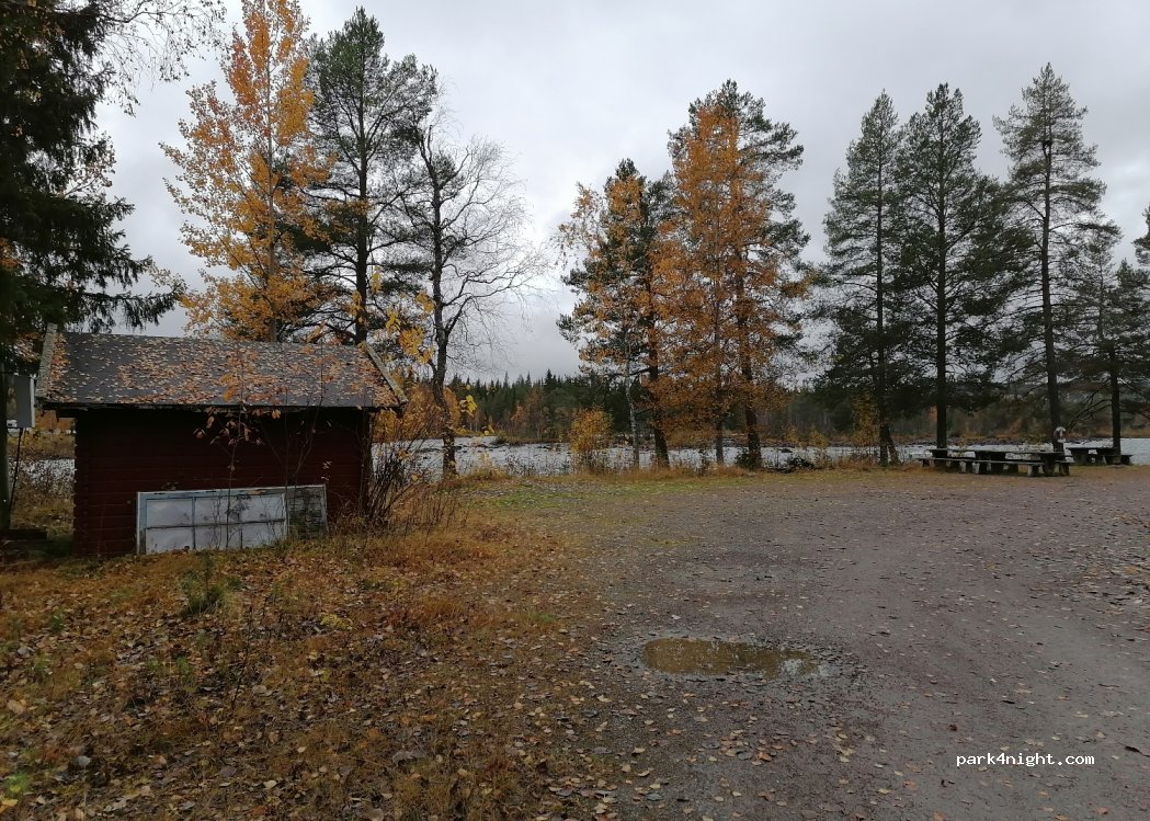 (930 86) Moskosel - — foto