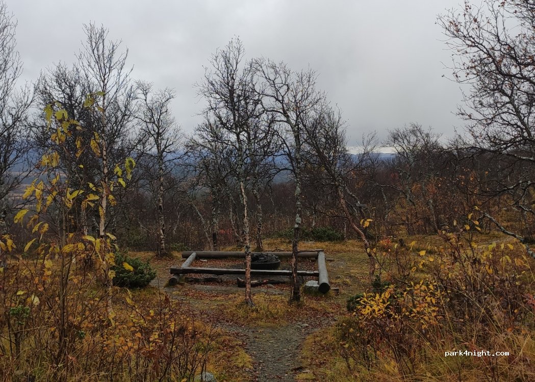 (910 88) Marsfjäll - Satsfjällsvägen — foto 3