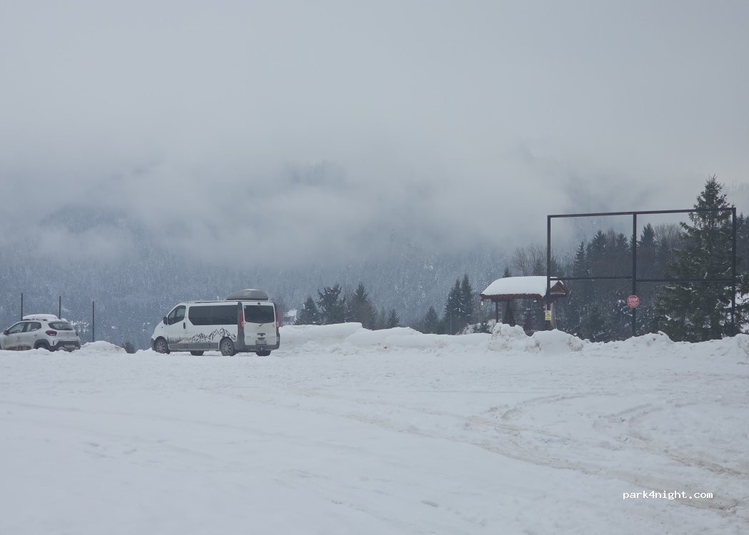 (427007) Colibița - DJ173A — foto 4