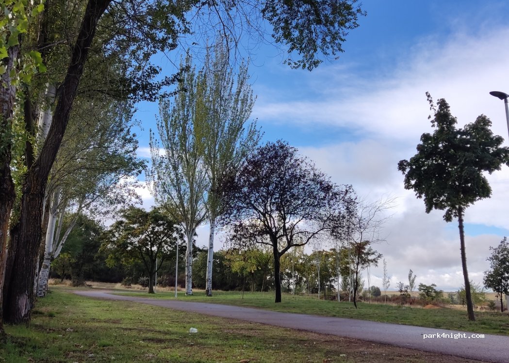 (37600) Tamames - Avenida Tejeda — foto