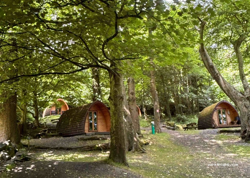 Castle Ward Caravan Park — foto 4