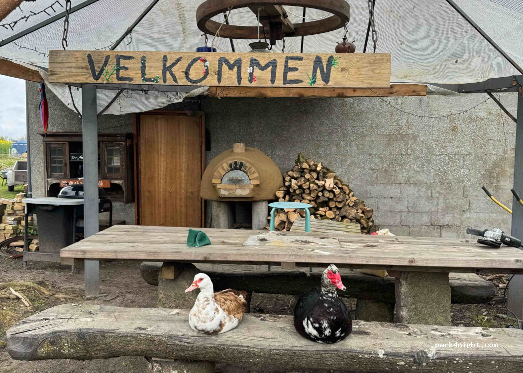 Skovgard — foto 3