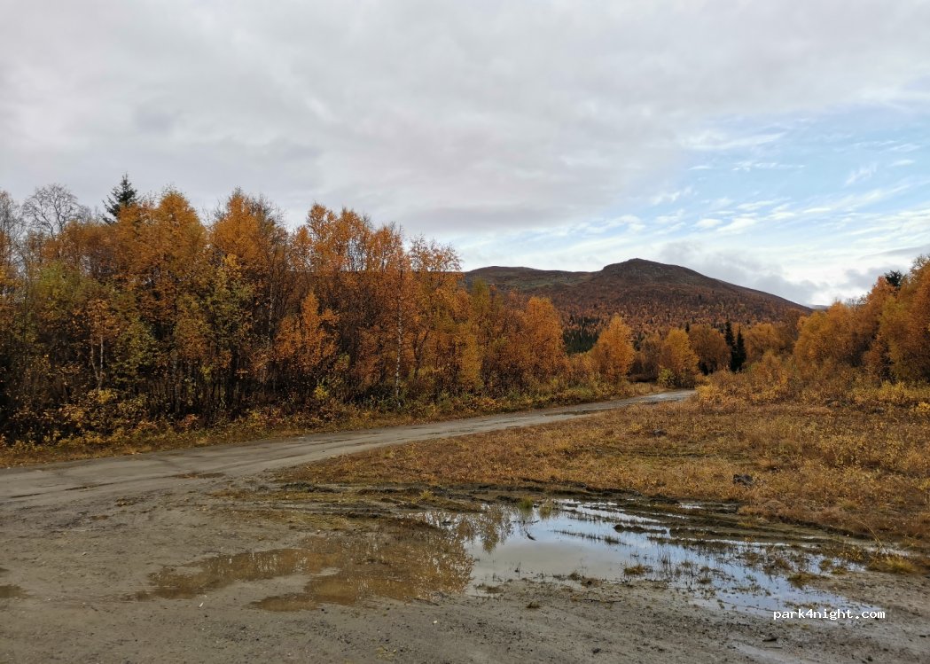 (910 88) Marsfjäll - — foto