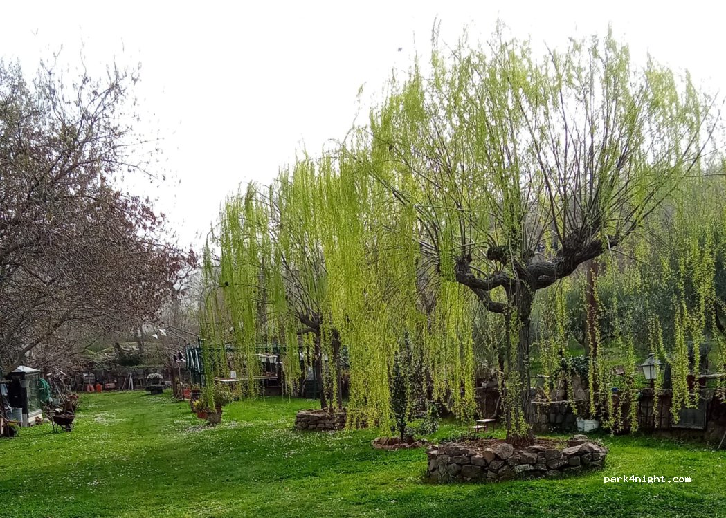 Giardino Museo — foto 5