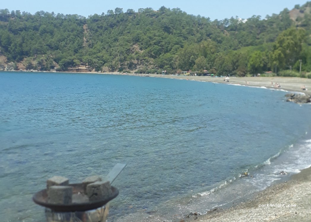 (48300) İnlice - — foto 3