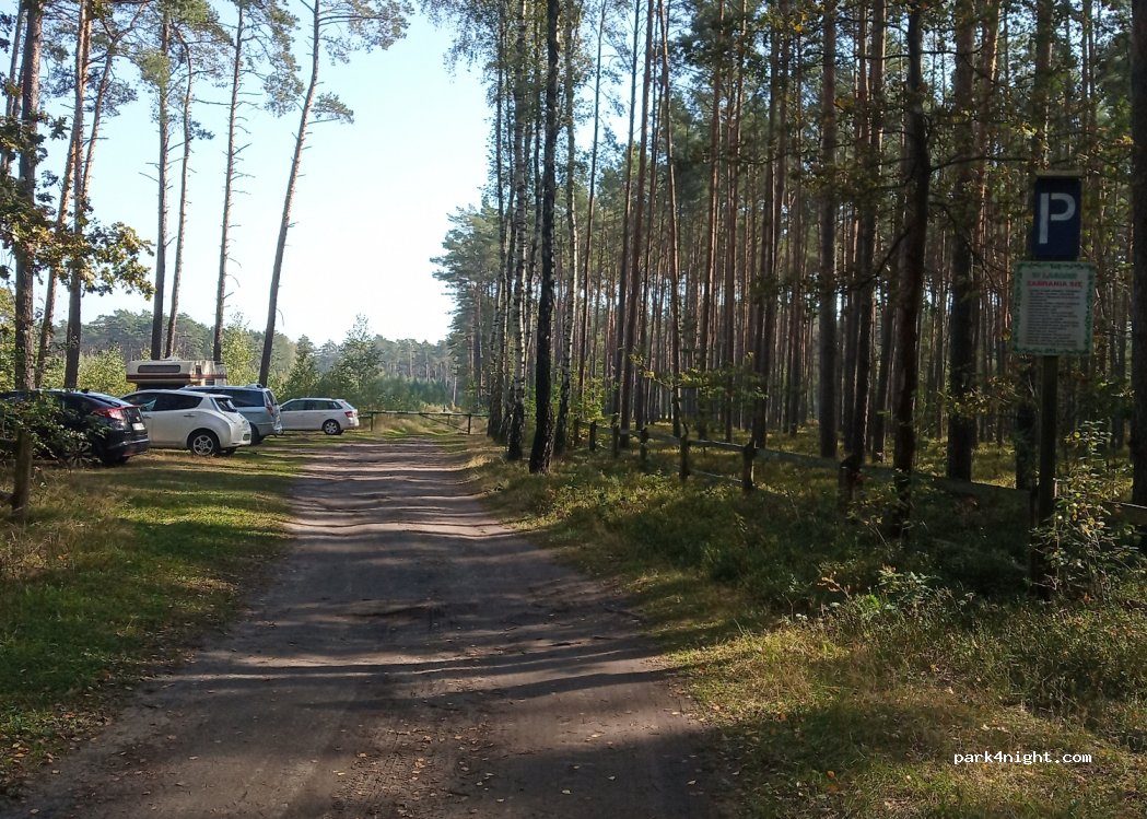 (95-082) Mogilno Małe - — foto