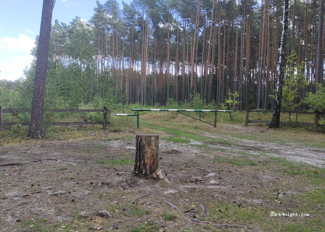 (95-082) Mogilno Małe - — foto 2