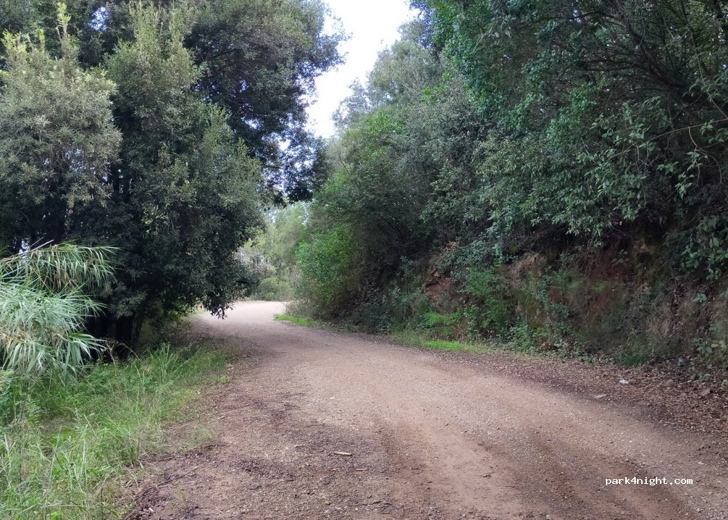 (57037) Portoferraio - Unnamed Road — foto