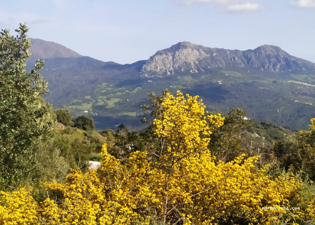 (29480) Gaucín - 1 Ds Ventorro San Antonio — foto 5
