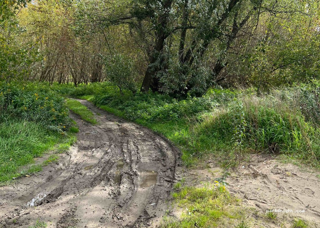 (55) Oława - Unnamed Road — foto 2