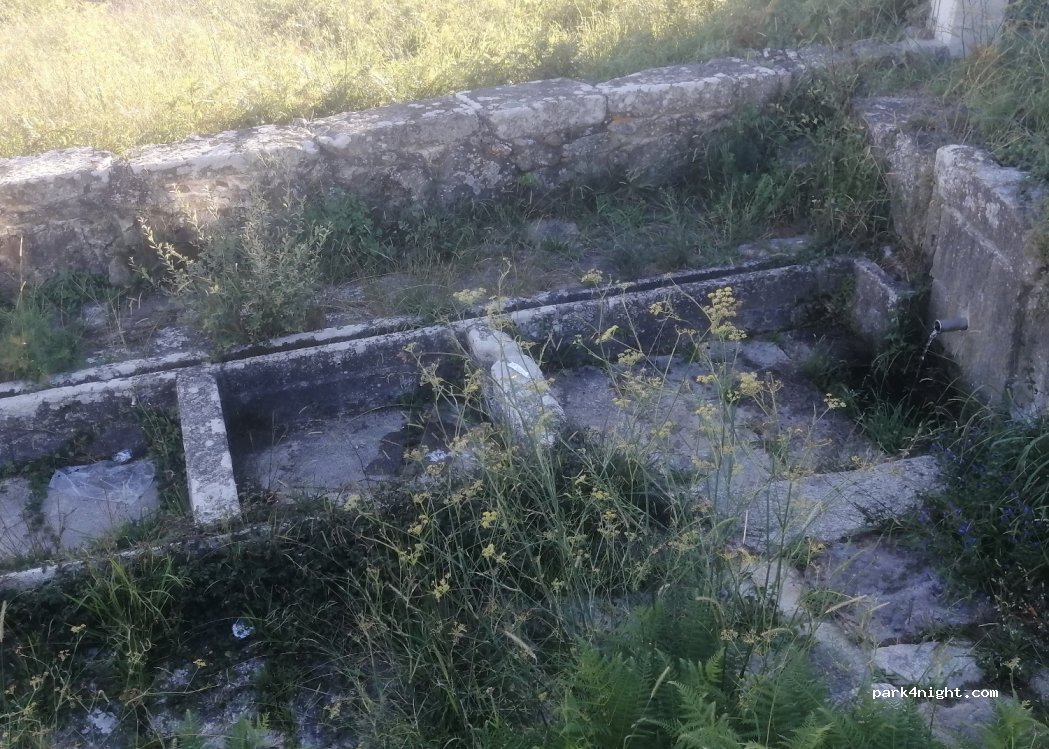 (15291) Louro - 3 Lugar Fontecomido — foto 2
