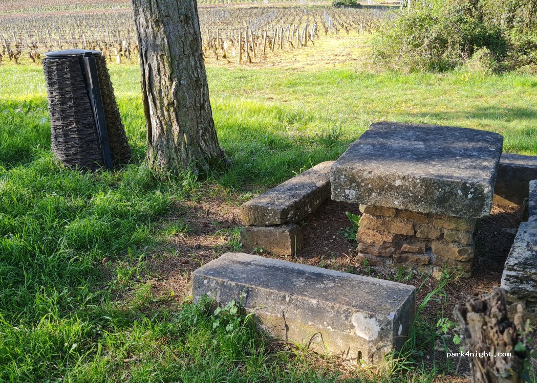 (21190) Volnay - 11 Cours François Blondeau — foto 3
