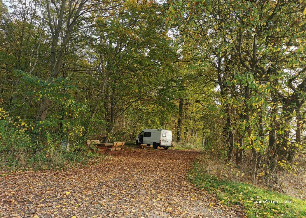 (32816) Schieder-Schwalenberg - — foto 2