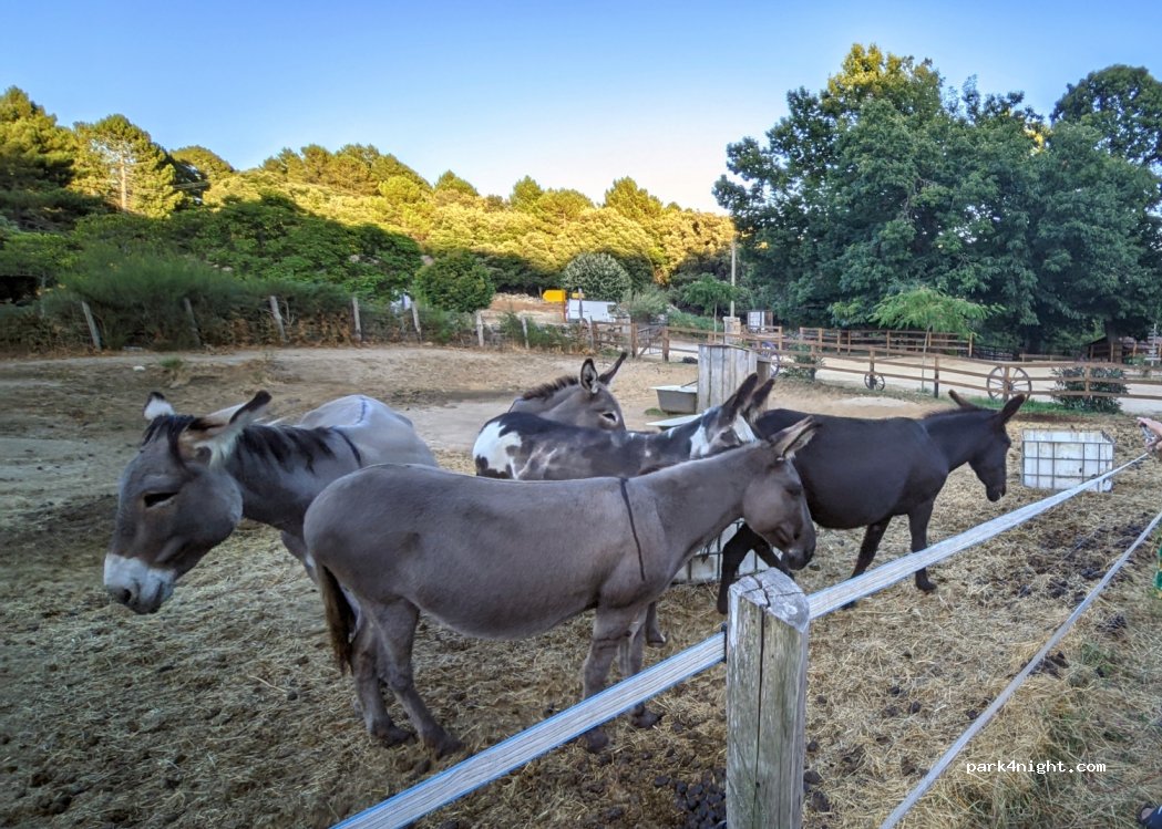 La ferme du Coq à l Âne — foto 4