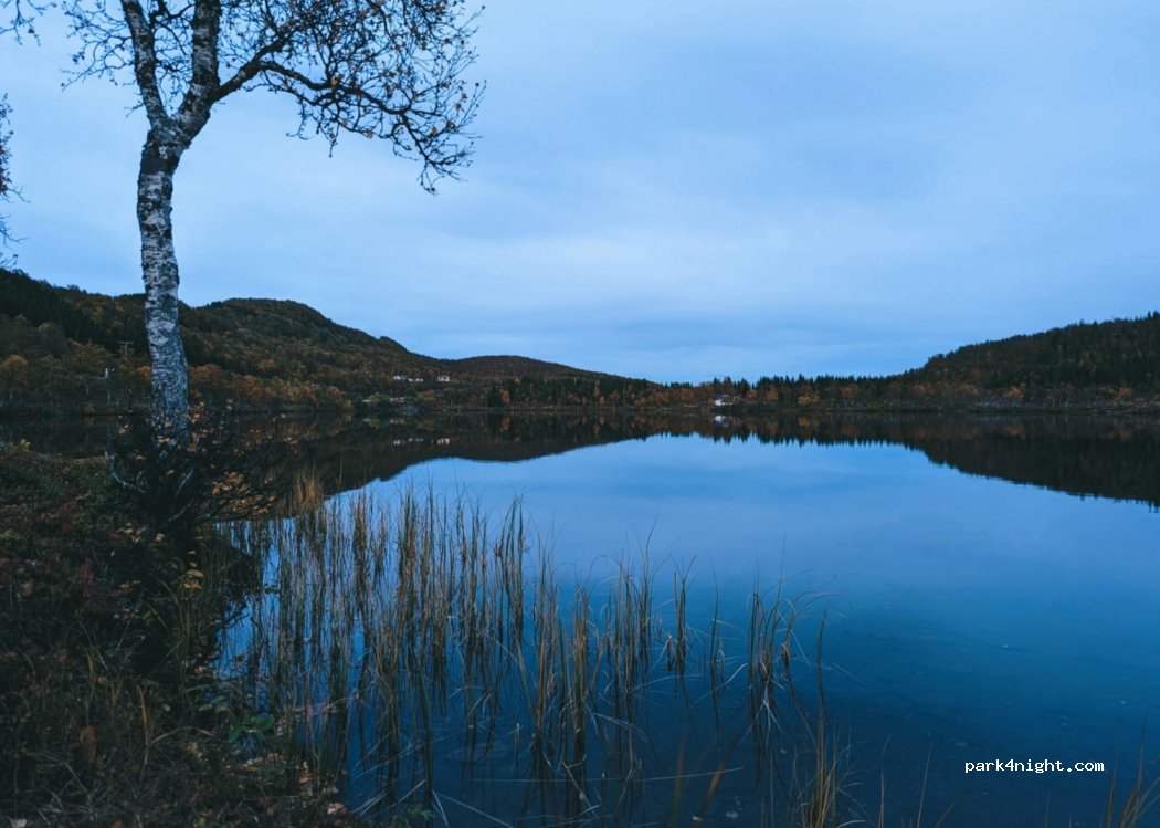 (9475) Sørvika - 1142-1070 Storjordveien — foto
