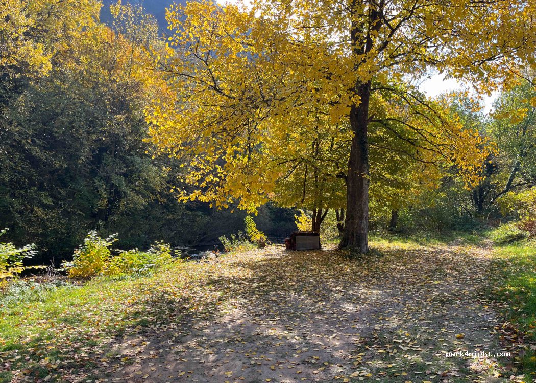 (413601) Bukovac - — foto 4